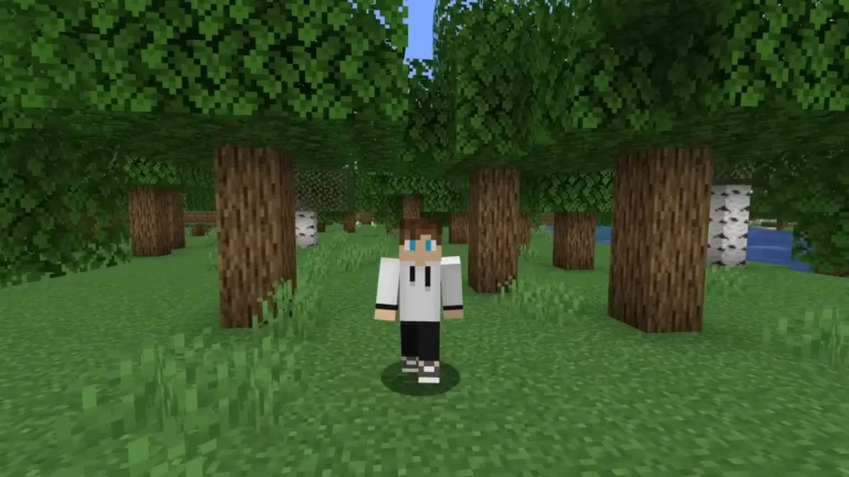 download minecraft 1.21